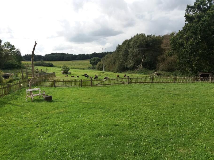 Exklusivewohnung Mitten In Der Natur - Ruth'S Nest Babelin Esterno foto